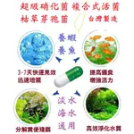 超級硝化菌 枯草桿菌 EM菌 亞硝化菌 光合菌 酵母菌 乳酸菌 水族硝化菌 魚缸清澈 硝化菌膠囊 硝化菌粉 淨水劑