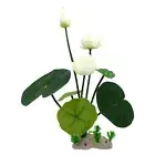 Aquarium Plant Decoration Aquarium Plant Lotus Aquarium Lotus for Landscaping