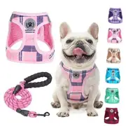 Small Dog Harness and Leash Set,Step in No Large(Chest Girth 18" - 21") Pink