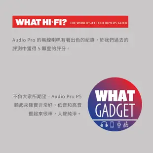 Audio Pro P5 藍牙喇叭 (8.2折)