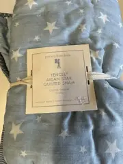 Pottery Barn Kids Euro Pillow Sham Tencel Aidan