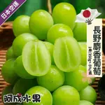 【阿成水果】飽滿多汁 果皮極薄 日本空運長野麝香葡萄 (1串350G/盒)