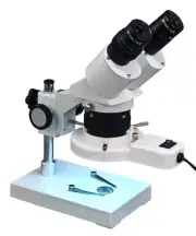 Binocular Stereo Fixed Power Microscope 20X-40X-80X + 8W Ring Light +Spare Bulb