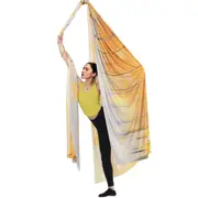 5.5 Yards Aerial Yoga Hammock & Swing - Nylon Fabric with Full Rigging Hardware