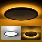 Dimmable 12" LED Flush Mount Ceiling Light with Night Light - Black Finish