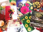 Lot of 32 Vintage 1977 Companion Notecards Birthday, Get Well, Congrats & More
