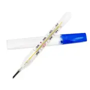 Mercury-Free Dual Scale Classic Traditional Glass Accuracy Thermometer 2ml