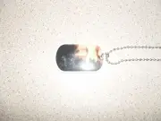 The Walking Dead season 2 DOG TAG INFERNO (19 of 24)