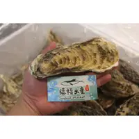 在飛比找蝦皮購物優惠-【禧福水產】獨家日本超巨大廣島鮮凍生食級生蠔5L/帶殼牡蠣◇