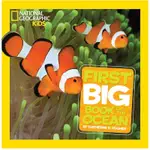 LITTLE KIDS FIRST BIG BOOK OF THE OCEAN/精裝