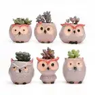 Ceramic Ceramic Pots Owl Flower Thumb Flower Pot Cute Owl Flower Pot