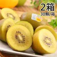 在飛比找誠品線上優惠-【Zespri】紐西蘭黃金奇異果2箱(30顆/3.3kg/箱