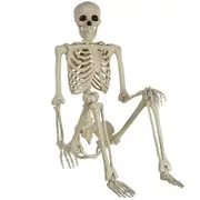 Halloween Decorations Realistic 16-Inch Faux Human Skeleton Skull Props for Haunted House Display