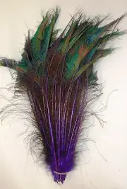 100 Pcs DYED PEACOCK SWORDS - PURPLE 10 -15" Feathers; Costume/Hats/Bridal/Pads
