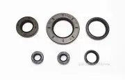 Suzuki PE 250 B C N ( 1977 1978 1979 ) Full Engine Oil Seal Set Kit x6pcs