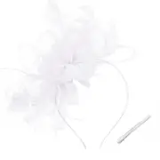Women's Fascinators Feathers Mesh Ribbons Tea Party Hats with Headband and Cl...