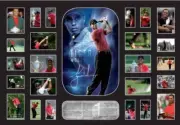 New Tiger Woods Signed Limited Edition Oversized Memorabilia Framed