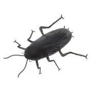 Halloween Giant Cockroach Prop
