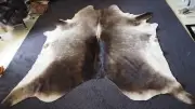 SUBTLE GREY SHADED TONES - AN OUTSTANDING PREMIUM BRAZILIAN COWHIDE RUG