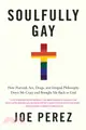 Soulfully Gay: How Harvard, Sex, Drugs and Integral Philosophy Drove Me Crazy and Brought Me Back to God