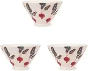 J-Kitchens Workshop Sho~ Set of 3 Anti-Family Matching Rice Bowl, Radish, Fresh Art, Hasami Yaki, Made in Japan