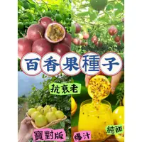 在飛比找蝦皮購物優惠-🍁💥 【虾皮热销】  香蕉百香果 四季種植水果台灣滿天星 黃
