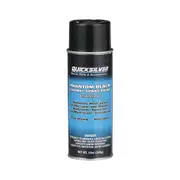 Quicksilver Phantom Black Paint