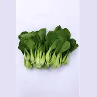 在飛比找自然屋優惠-有機青江菜 Organic Bok Choy