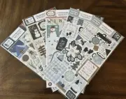 Echo Park Chipboard Phrases/Accents Winter Theme (set of 5)