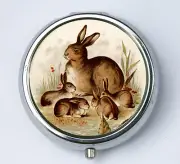 Bunny Rabbit pillbox PILL case box holder victorian fairy tale rabbits DIY