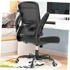 Office Chair, Comfy Desk Chair with Adjustable Lumbar Support, High Back Mesh