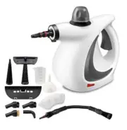 Commercial Bed Bug &Egg Steamer Non Toxic Effective Kid Safe Bug Kills Them DEAD
