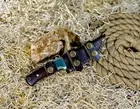 Damascus knife Handmade hunting knife with Sheath Fixed blade knives for Gift AU