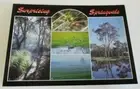 Springvale Promotional Postcard - Landscape Images - Melbourne - Vintage - 1980s