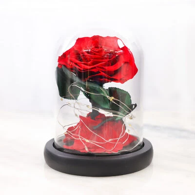 Vistara Timeless Rose - Natural 15cm Red Preserved Rose With LED Light Mother's