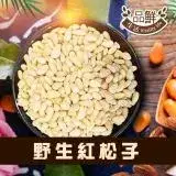 在飛比找遠傳friDay購物優惠-品鮮生活 野生紅松子250g