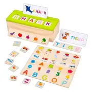 Montessori Toy for Toddlers 3+ Wooden Knowledge Cognition Classification Box