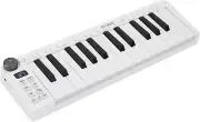 Rechargeable 25-Key MIDI Keyboard Controller - Wireless Music Production