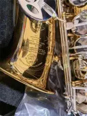 Sax Model Gold silver Lacquer E Flat Alto Saxophone Eb with Case Accessories