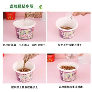 【百獅】種植小盆栽 兒童植物 兒童盆栽(DIY負離子綠植 小盆栽 桌面迷你兒童種植 室內植物 辦公室盆栽)