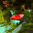 Wooden Miniature Decoration Fishing Boat Model Micro Landscape Boat Collectible
