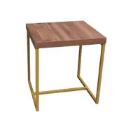 Shaan End Table Stylish and Compact Design with Gold Accents Walnut and Gold