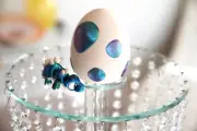 Flexi Stegosaurus with Dinosaur Egg | Multi-Color Fantasy Desk Toy | 3D