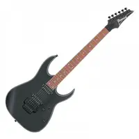 在飛比找蝦皮商城優惠-Ibanez RG420EX Electric Guitar