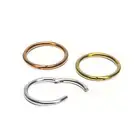 Titanium Hinged Segment Hoop Ring 16 Gauge - 8 MM or 10 MM - 3 Colors