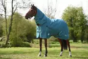 WeatherBeeta Green-Tec 1200D Detach-A-Neck Turnout Blanket (360g Heavy)