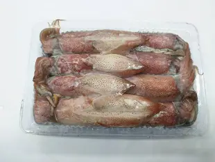 【家常菜系列】台灣東北角盒裝活凍透抽 / 約300g±5%~自然鮮甜,口感Q彈有嚼勁，怎麼料理都好吃