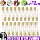 36/72/180X 1" Chip Paint Brush DIY Art Varnishes Touchups Brushes Wooden Handle