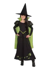 Wizard Of Oz Wicked Witch Of The West Girls Dress Up Theme/Party Costume