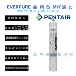 現貨 EVERPURE MH2 型濾心 美國原裝起標即直購 H系列多了抑制水垢功能 另有 MC MC2 I2000